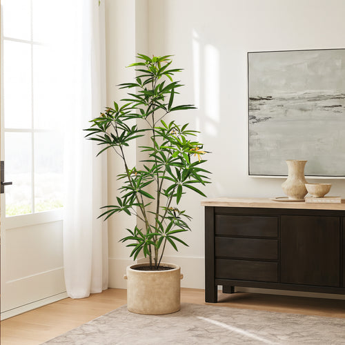 Faux Australian Umbrella Tree 59.1"H