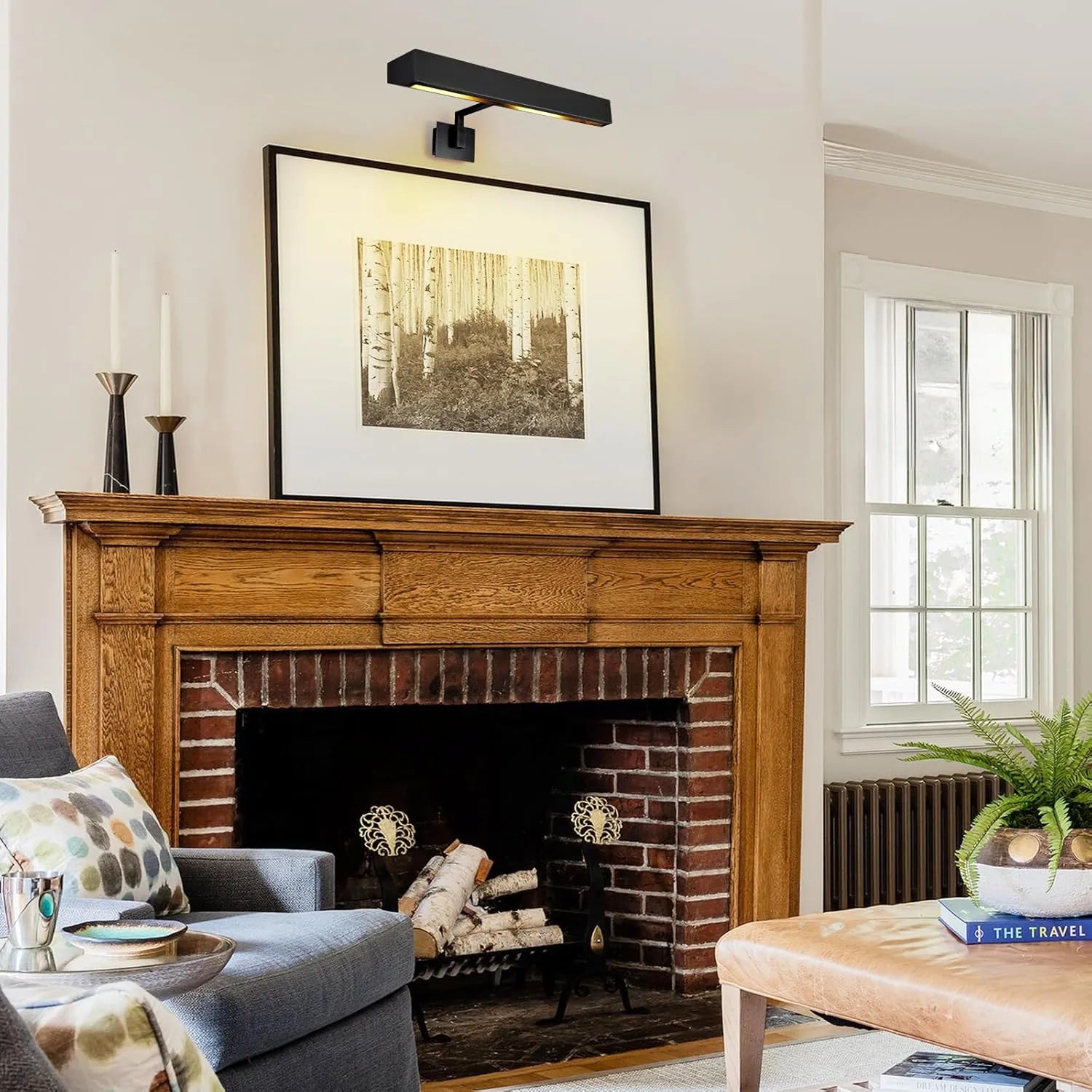 Brushed Radiance Picture Light 24"W#Finish_Black