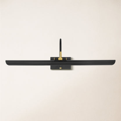 Aiden Large LED Picture Light 24" W