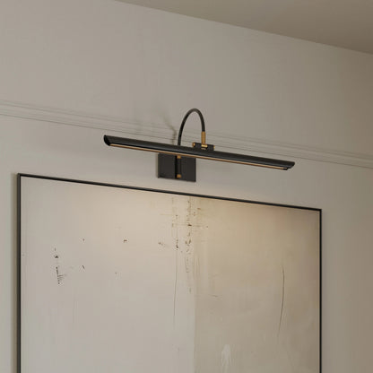 Aiden Large LED Picture Light 24" W