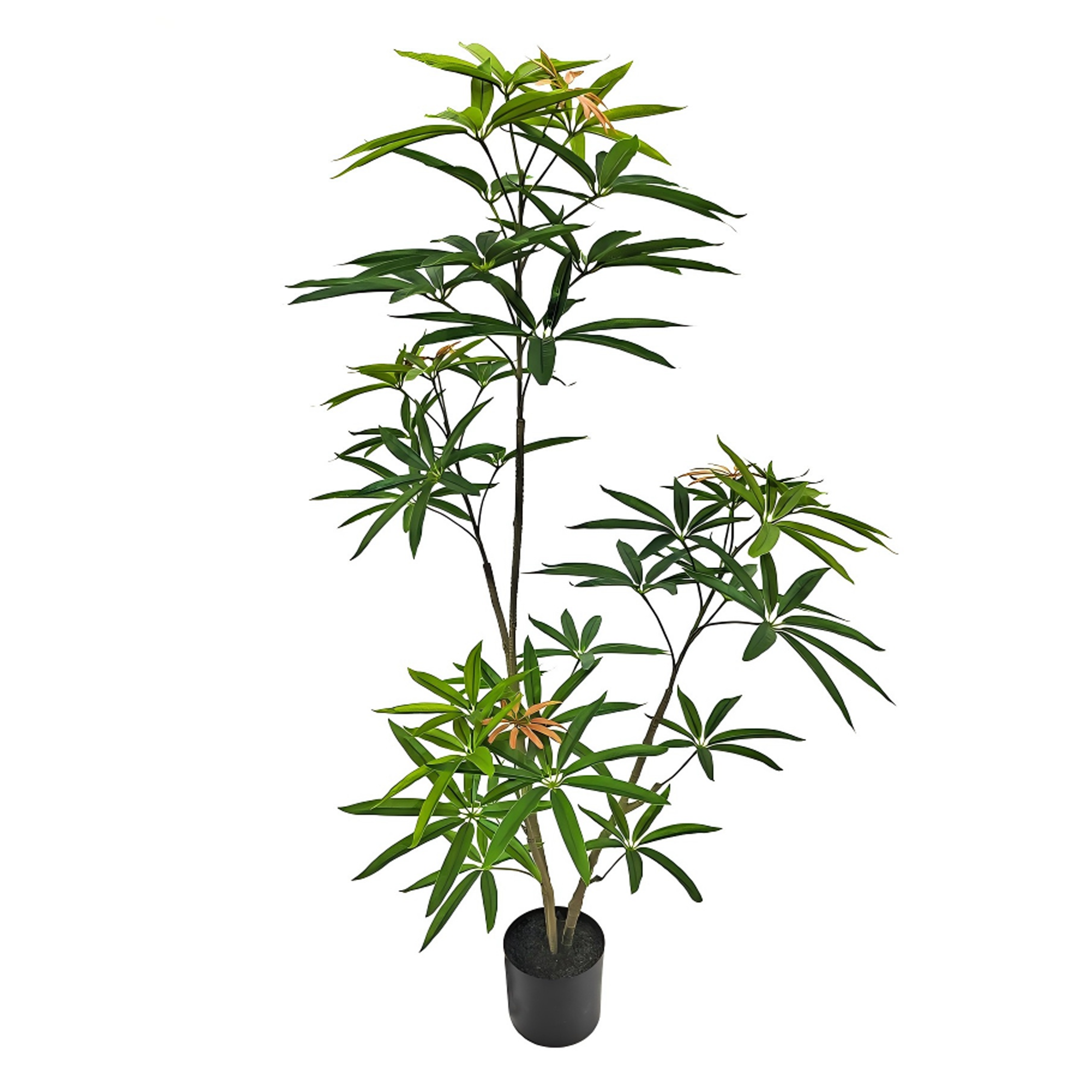 Künstlicher australischer Regenschirmbaum, 120 cm hoch