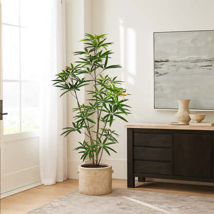 Faux Australian Umbrella Tree 59"H