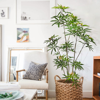 Künstlicher australischer Regenschirmbaum, 180 cm hoch