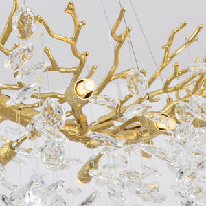 BRANCHES