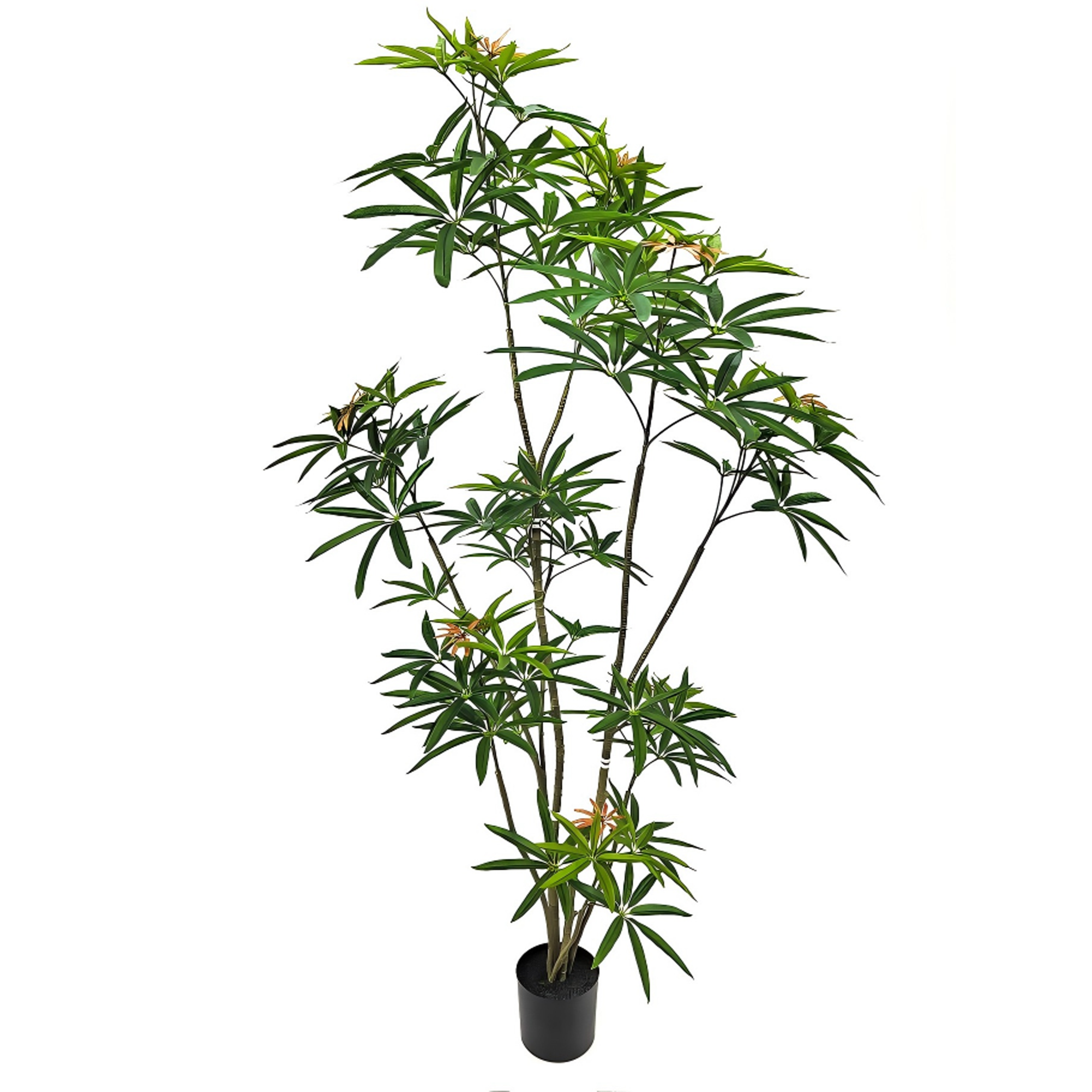 Faux Australian Umbrella Tree 70.9"H