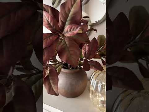 Runder Kronleuchter Sawyer Alabaster, 80 cm